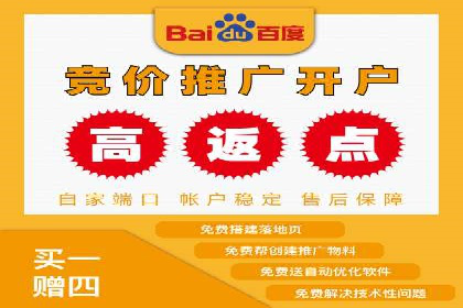 专业SEM服务托管方案案例分析